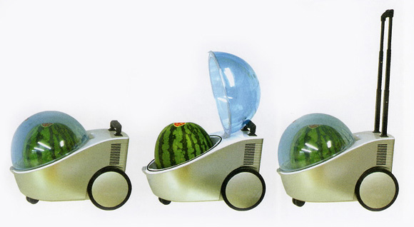 Portable Watermelon Cooler a Heater