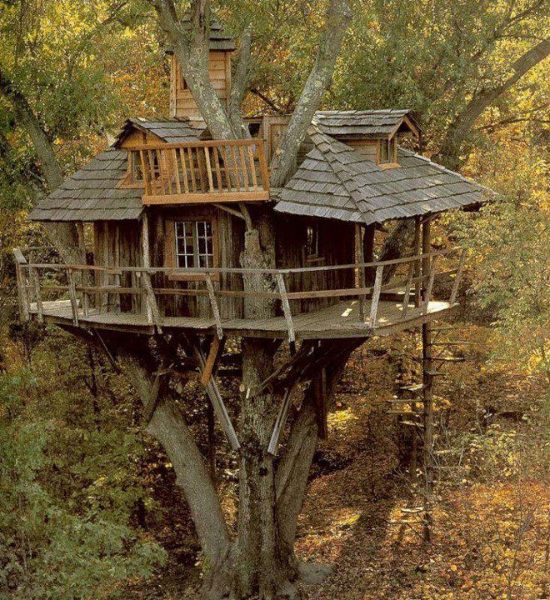 dům na stromě