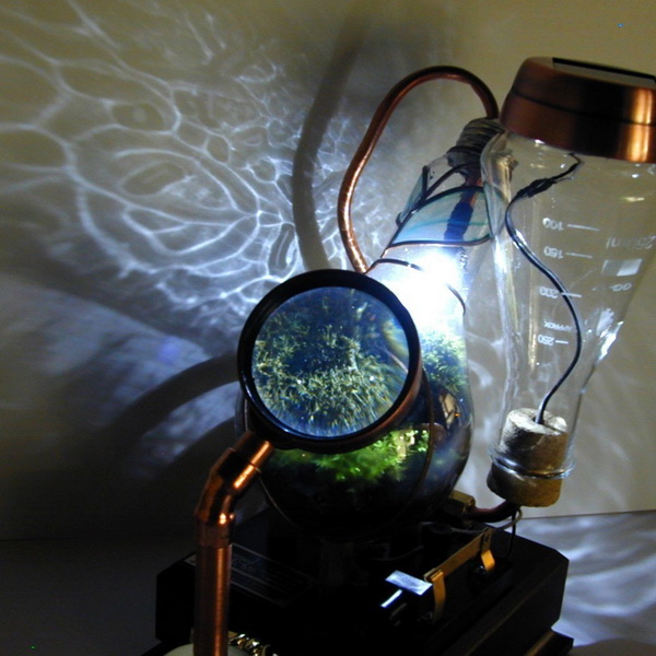 steampunk terrarium